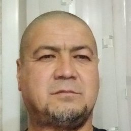 �����, ������, 49 ���