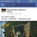 ���� ����, �����-���������, 45 ��� - ��������� 1 ���� 2022 � ������ ������ � �����