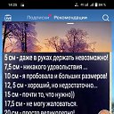 ���� ���, ������, 53 ���� - ��������� 21 ������ 2023
