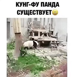 �����, �����������, 54 ����