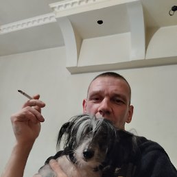 ���� ������, ������, 49 ��� - ��������� 19 ������� 2023