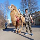  , -, 24  -  15  2023    