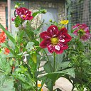 ���� ������, �����������, 63 ���� - ��������� 16 ������� 2022 � ������ ���� ����������