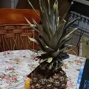 ���� ����, ������, 42 ���� - ��������� 5 ��� 2022