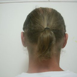 �����, �����������, 54 ����