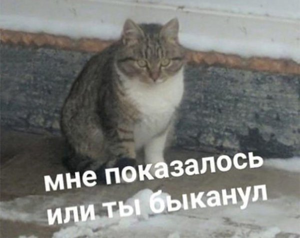    - 26  2023  23:41