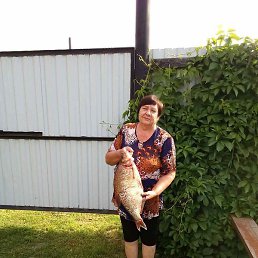 �������, ������, 70 ���