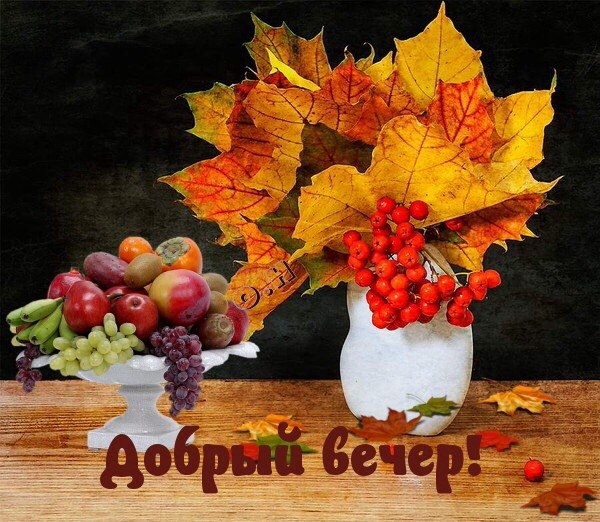   ,    . - 11  2022  18:26 - 4