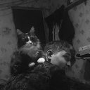 ���� �������, ���������, 29 ��� - ��������� 4 ������ 2023 � ������ ���� ����������