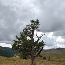 ���� �����, ������, 40 ��� - ��������� 26 ������� 2022 � ������ ������