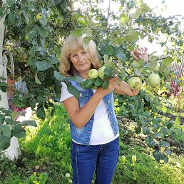 ���� ����, �����-���������, 58 ��� - ��������� 17 ������ 2022