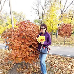 �����, ������-��-����, 56 ���