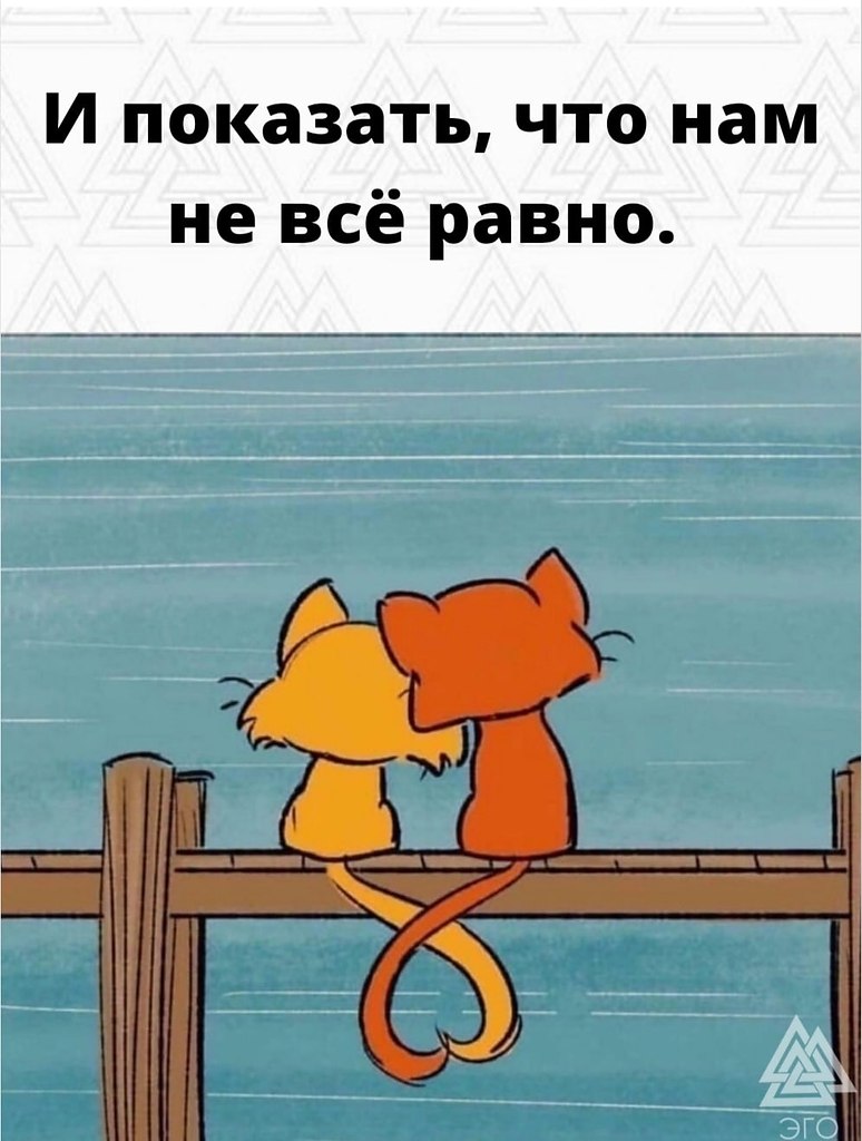  -    . - 4