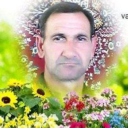 Vasif, ����, 50 ���