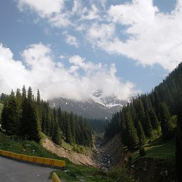 �������, ������, 61 ���