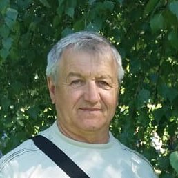 ���������, ���������, 71 ���