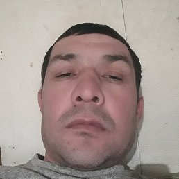 �����, �����-���������, 42 ����