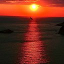 ���� Ali, ���������, 39 ��� - ��������� 18 ������� 2022