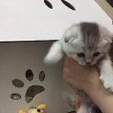  , , 52  -  6  2022   !!!