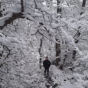 ���� ������, �����, 39 ��� - ��������� 14 ������ 2023