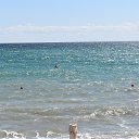  , , 84  -  23  2022   .