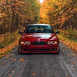 ���� �������, �����, 37 ��� - ��������� 22 ������� 2022