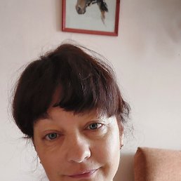 �����, �����������, 56 ���