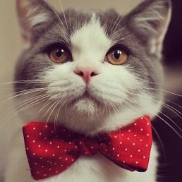 ���������, ����, 30 ���