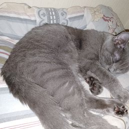 ���� ����, ������������, 37 ��� - ��������� 14 ������� 2023