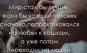 Moonlight - 29  2022  12:34