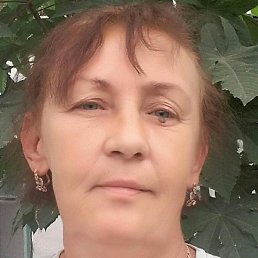 ����, ������, 56 ���