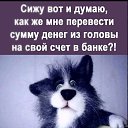 ���� �������, �������, 50 ��� - ��������� 17 ������� 2023 � ������ ���� ����������