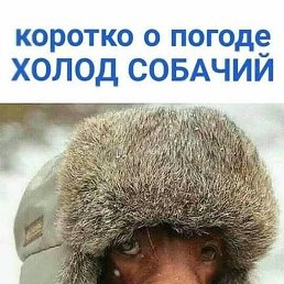 ���� ��������, �����������, 68 ��� - ��������� 25 ������ 2023