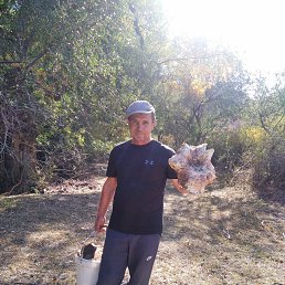 ���� ������, ������, 56 ��� - ��������� 16 ������ 2022