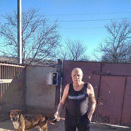 ��������, �����������, 65 ���