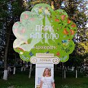  , , 56  -  29  2022    2022