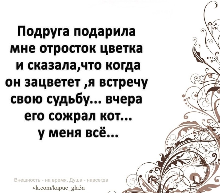   -  ,  -  - 10  2022  18:38