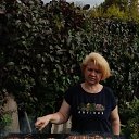  ,  , 50  -  19  2022    