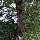 ���� ������!, ������� - ��������� 19 �������� 2022 � ������ ���� ����������