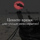 ���� ��������, ������ - ��������� 19 ������ 2022 � ������ ������ ��������