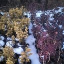 ���� ������, ����������, 34 ���� - ��������� 26 ������� 2022