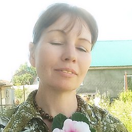 ����, ��������, 50 ���