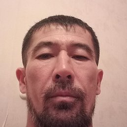 �����, �������, 42 ����