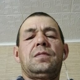 , , 51 