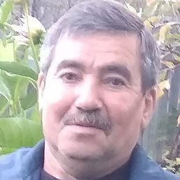 ������, ������, 68 ���