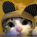 ���� ������, ���������, 44 ���� - ��������� 5 ��� 2022 � ������ ���� ����������