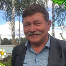 �����, ������, 65 ���