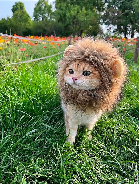 ������ �� �� �����-������ ����� ����, ��� ����? - 2