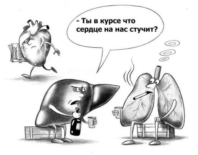���� - 13 ������� 2022 � 19:02