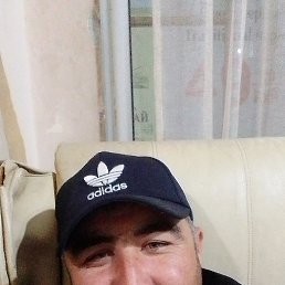 ������, ���������, 41 ���